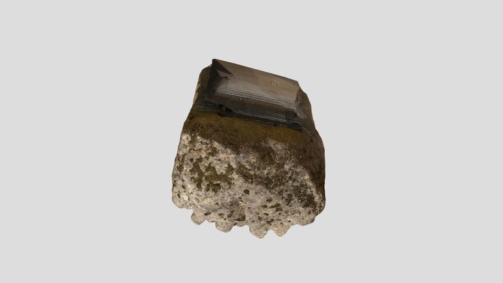Brazão VR 1 3D Model