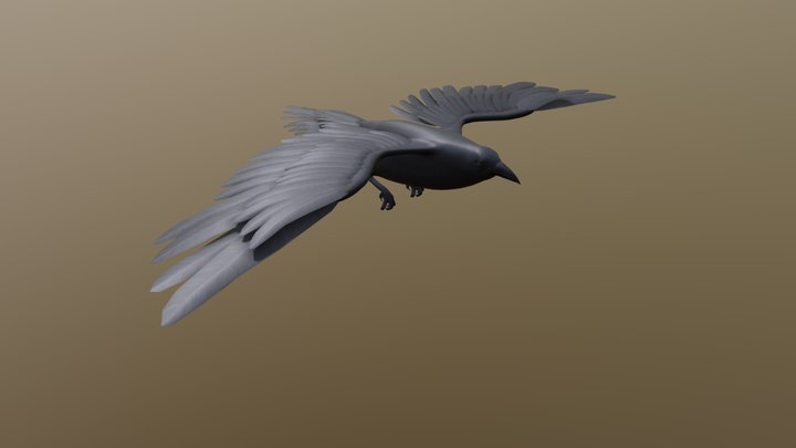 Raven - animated 3D Model