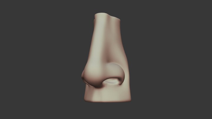 Nose example 8/8/22 3D Model