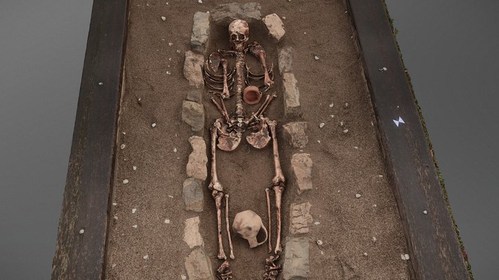 Skeleton excavation dataset