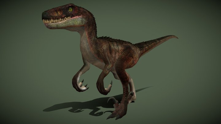 Dinosaur-raptor 3D models - Sketchfab