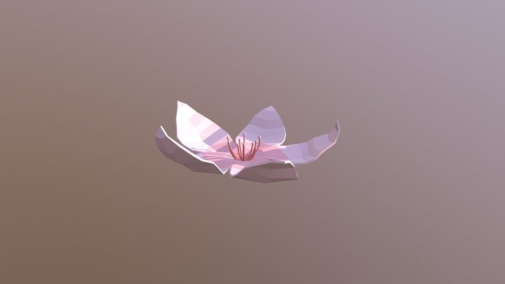 Cherry Blossom Single 3D Model