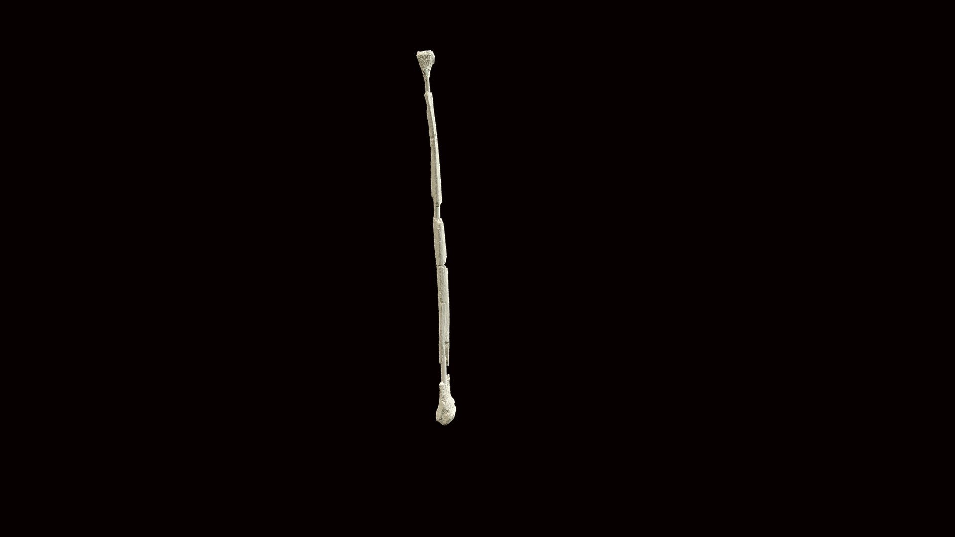 Right fibula in ready to print STL — Sketchfab embed 3D viewer