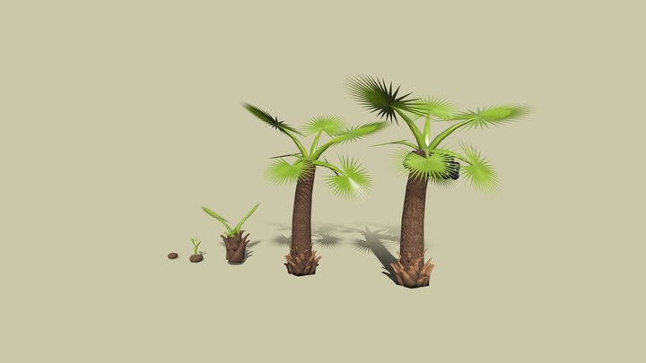 tontan 3D Model