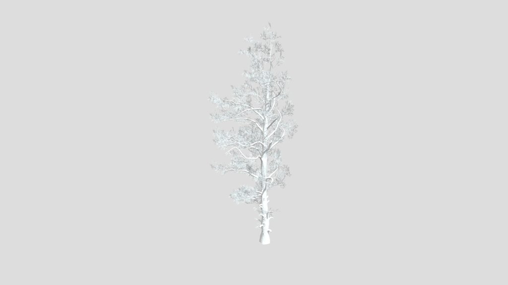 Sj Twilight Pine Keeper