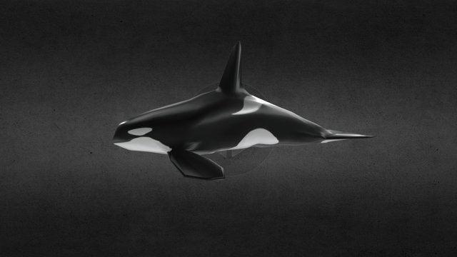 Animated Orca for Second Life 3D Model