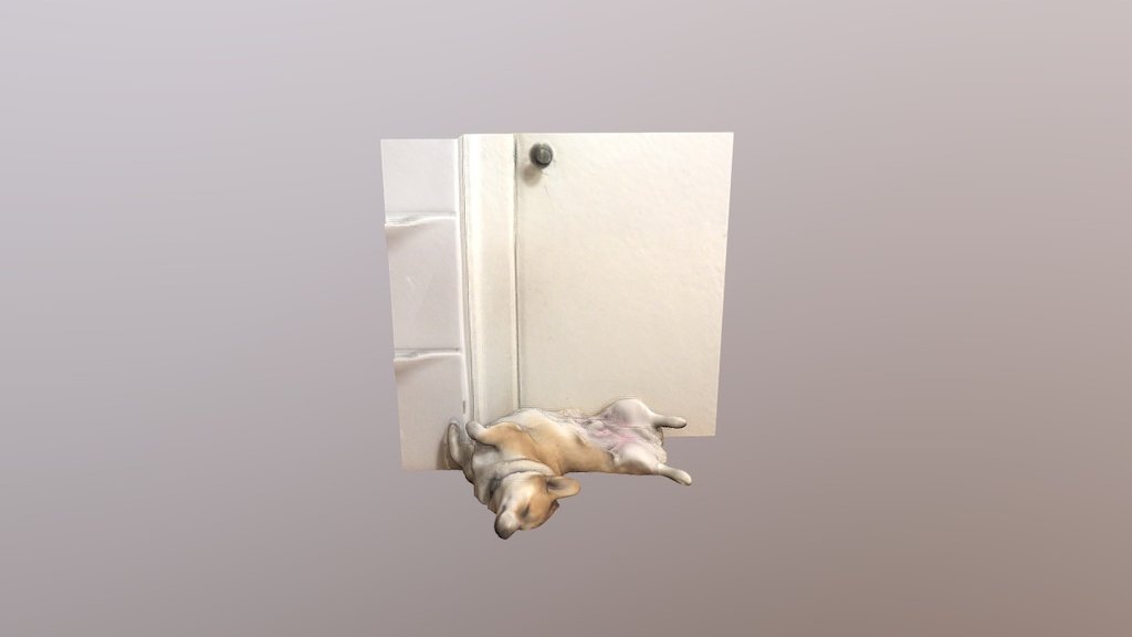 Hotpot Sleeping Upside Down