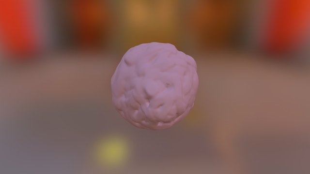 Bring 3D Model