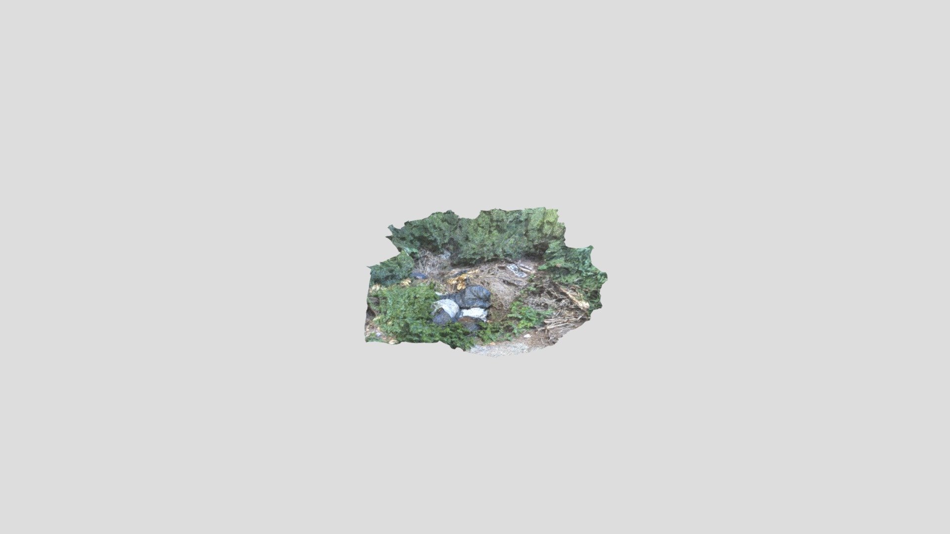 Junk in the forest - 3D model by a9603487 [bd096a8] - Sketchfab