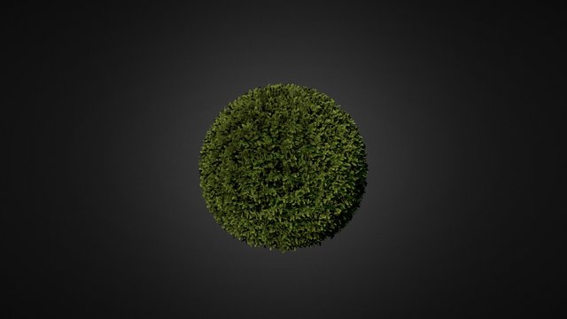 Hedge 3D Model