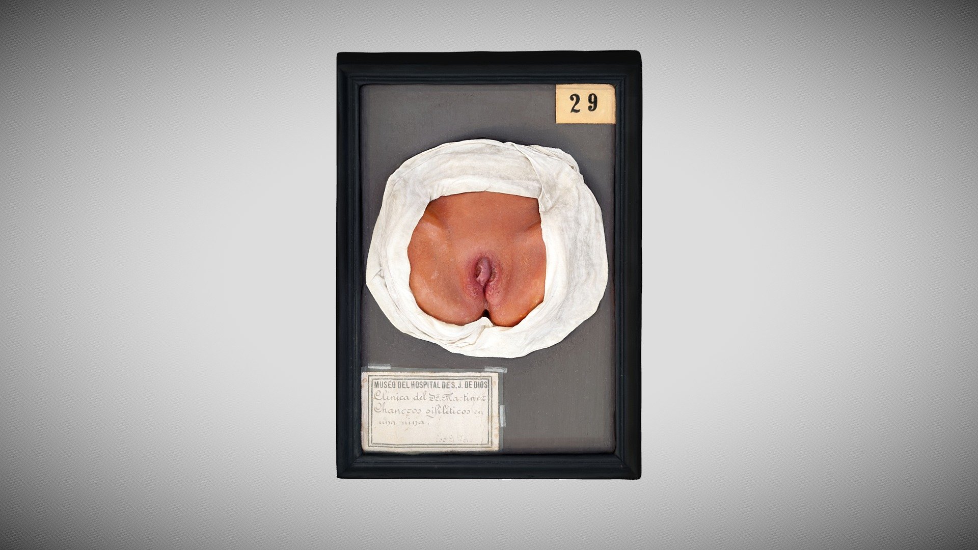 110 - 469 — Sketchfab embed 3D viewer
