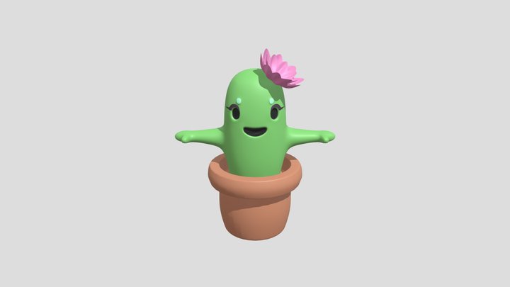Cactussi 3D Model
