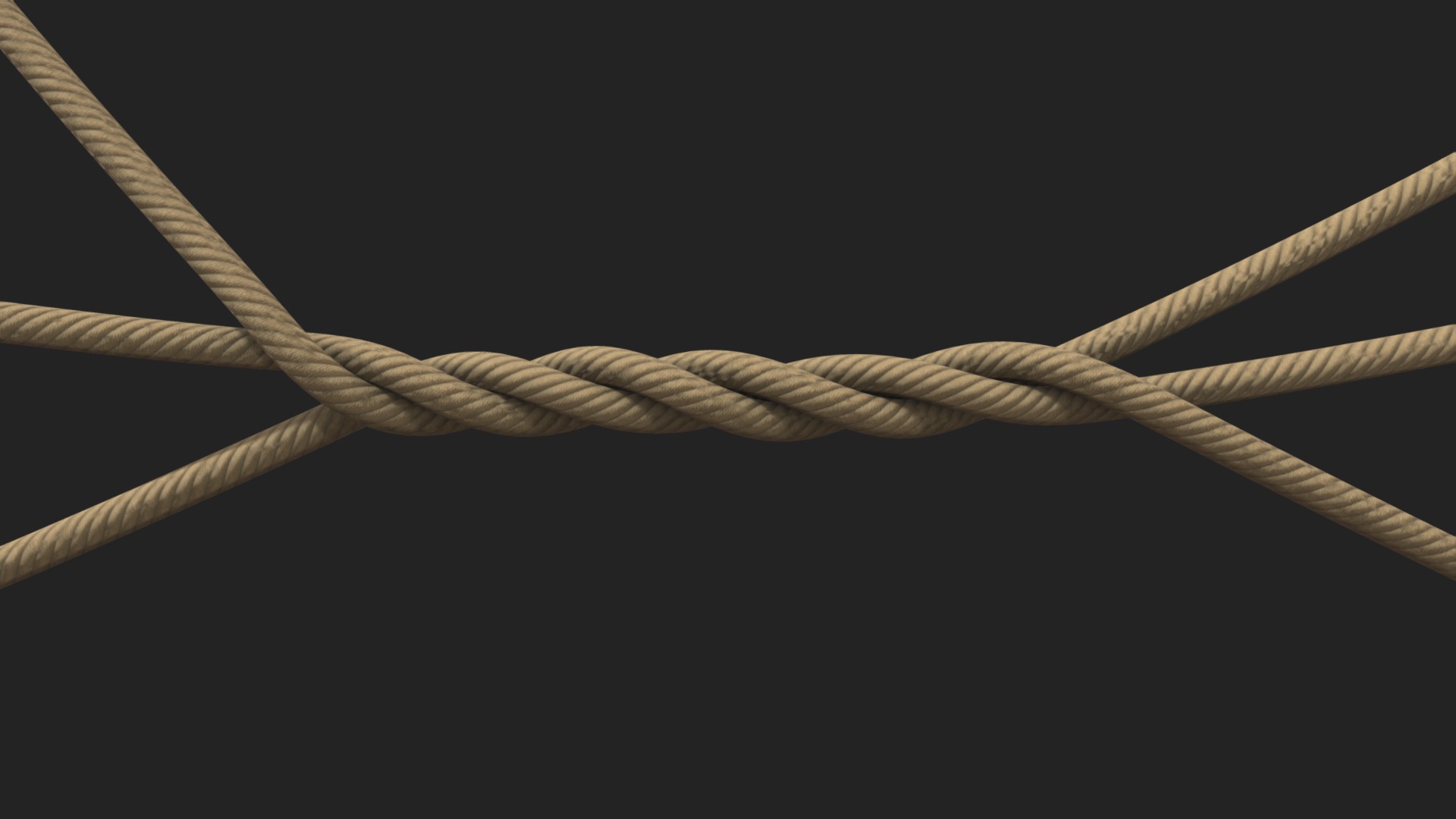 3D model Rope - This is a 3D model of the Rope. The 3D model is about a close-up of a rope.