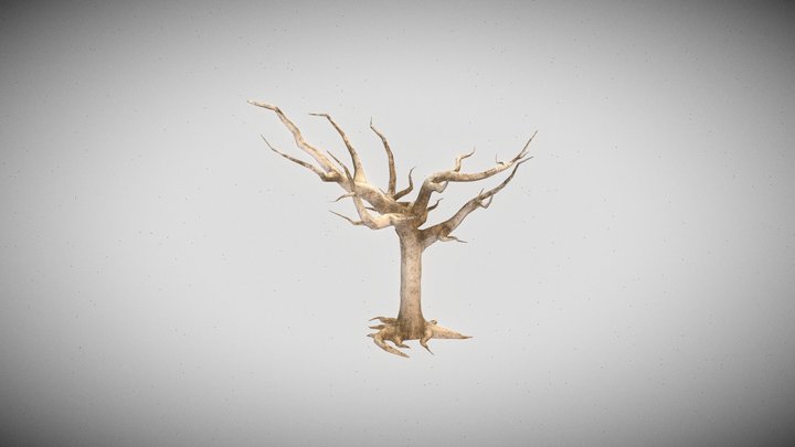 low poly tree 3D Model