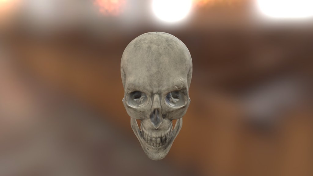 Skull Human: retop - 3D model by mdtrev02 [bd14875] - Sketchfab