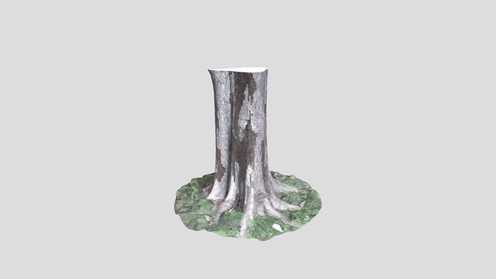 Tree – Free 3D Model STL