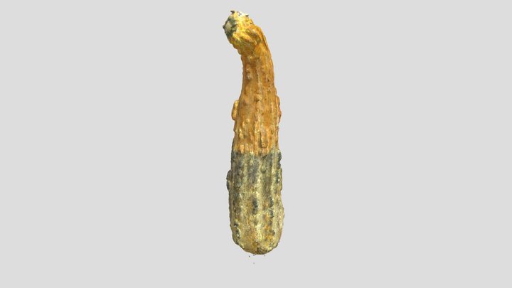 Stn04 Aking Gourd Fused Mm 3D Model