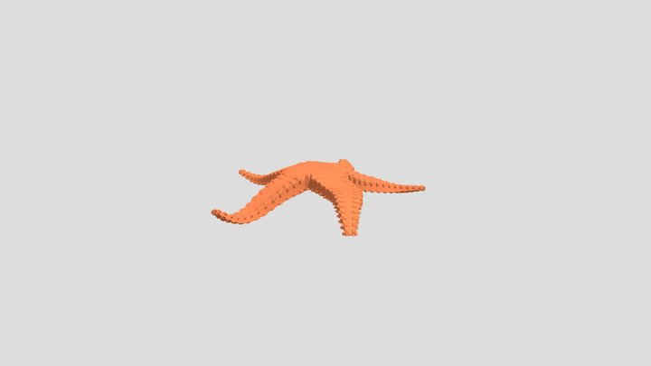 Starfish lowpoly 3D Model