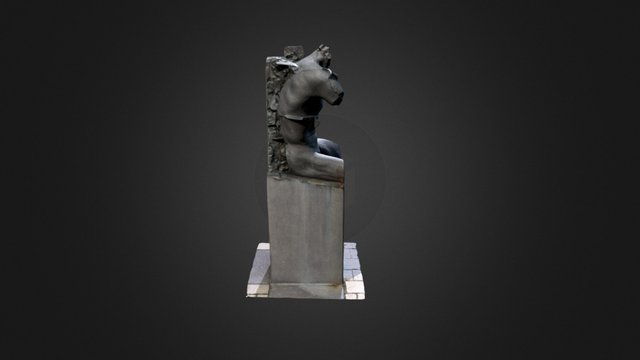 Half Body 3D Model