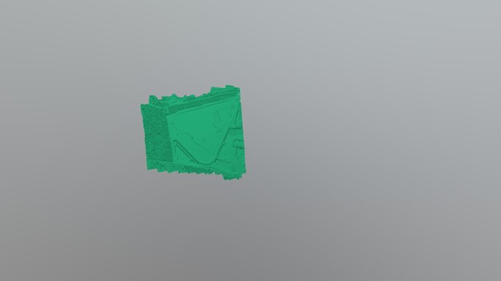 240620_REJEITO SECO_simplified_3d_mesh 3D Model