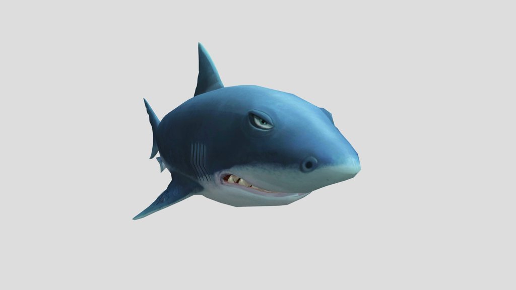 HSE Great White Shark