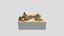 Loading 3D Model