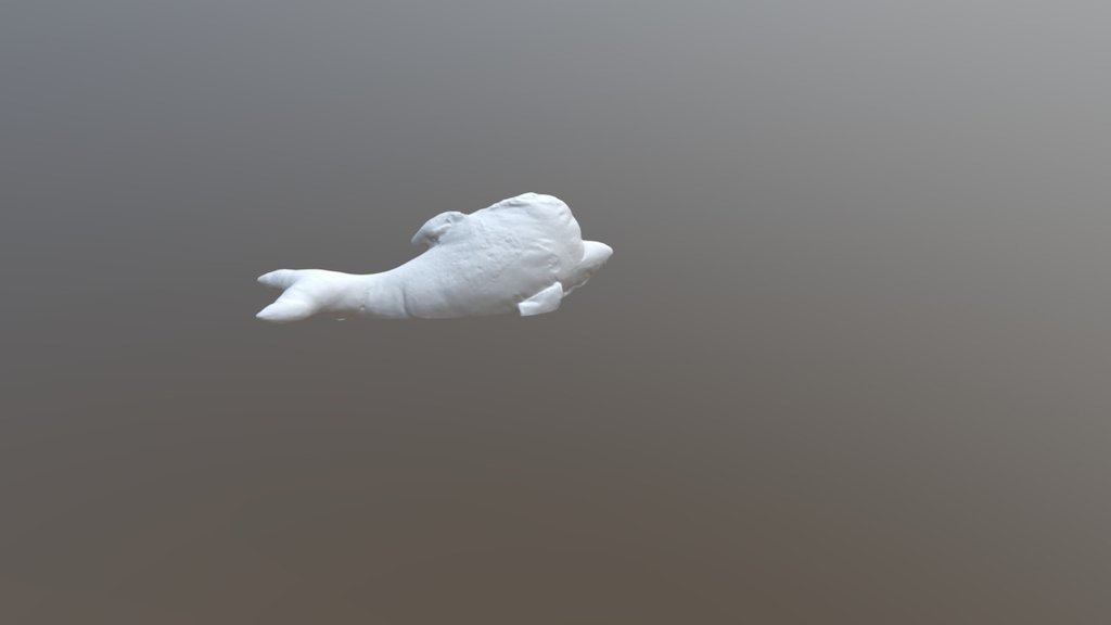 Delfin