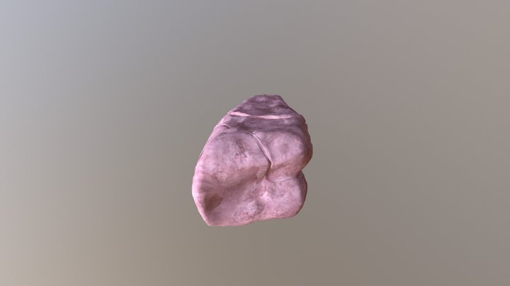 Lungapetterssonj 3D Model