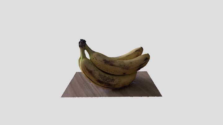 Bunch 'O 3D Model
