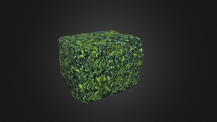 Square Hedge – Modello 3D gratuito STL