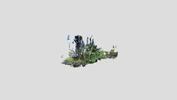 treehouse area scan 3D Model