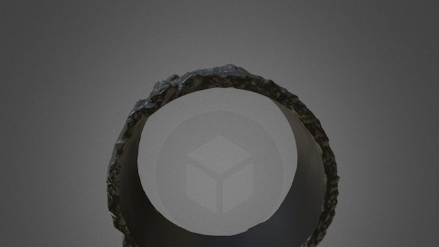 Sand Ring 3D Model