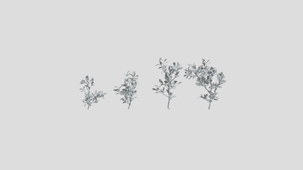 Shrub 04