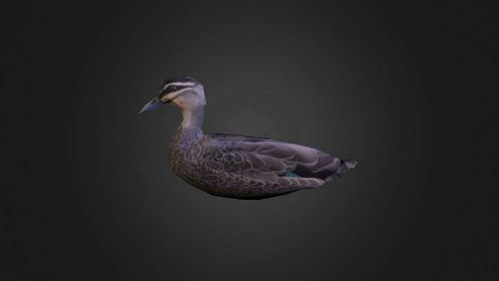 duck for city scene (low poly) 3D Model