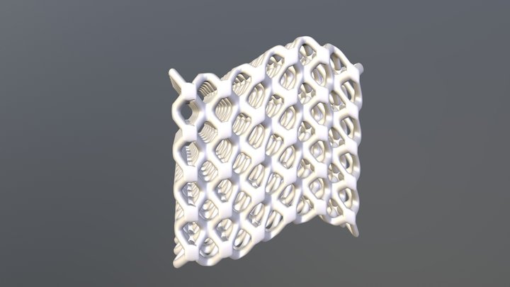 Lattice Filler 3D Model