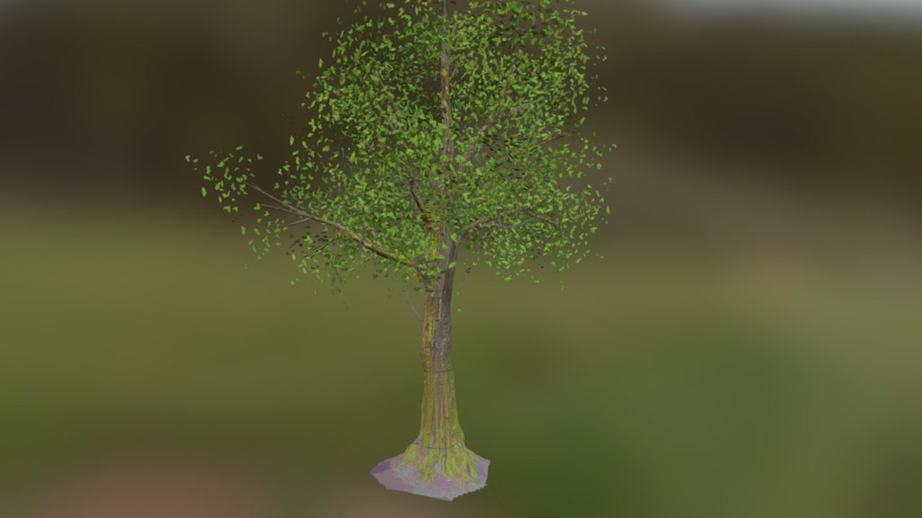 Tree 01 textured - 3D model by MCB (@TheRedAgent) [bd3ba8a] - Sketchfab