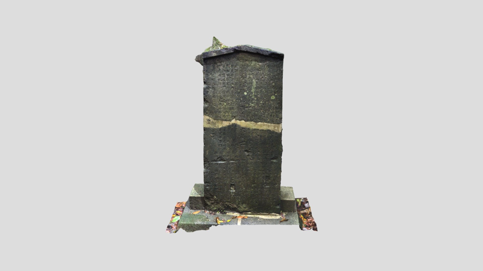 Metascan 20220614-1559 湛水院の供養塔脇の石碑