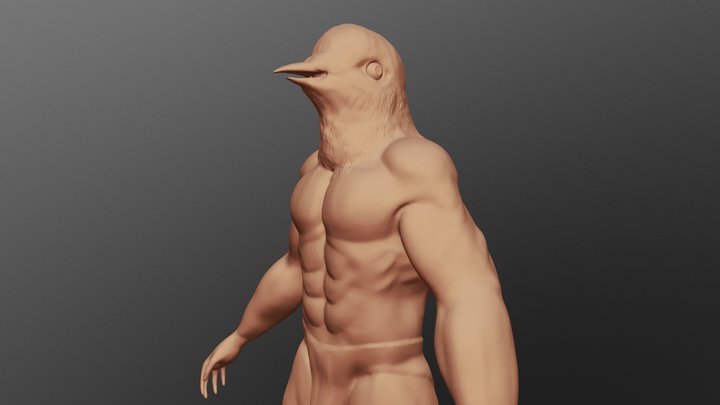 Squabbles - A lovely pigeon man. 3D Model