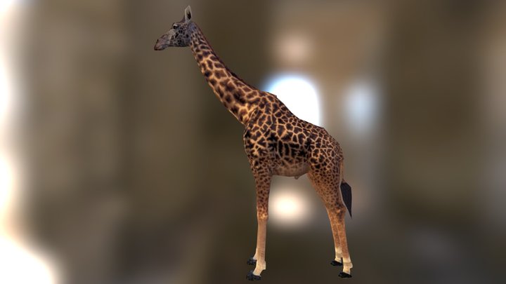 Girrafe_obj 3D Model