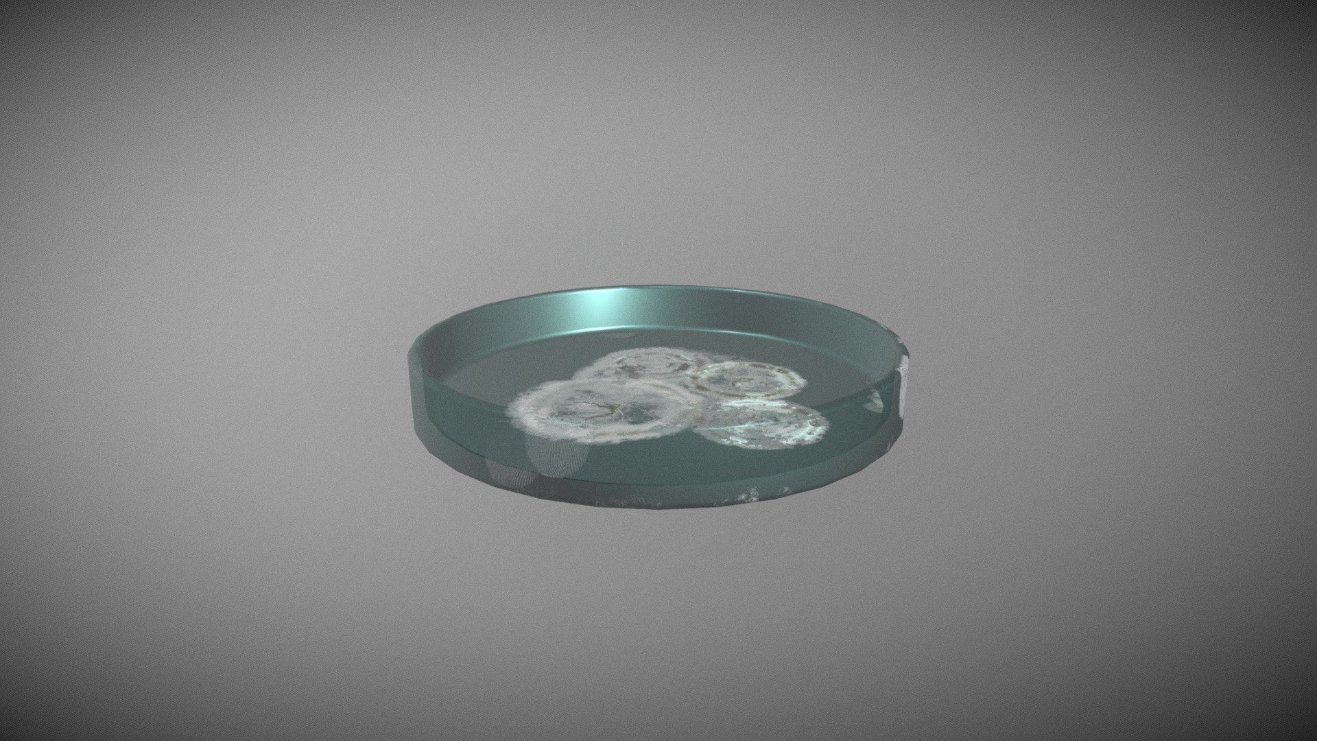 Petri dish