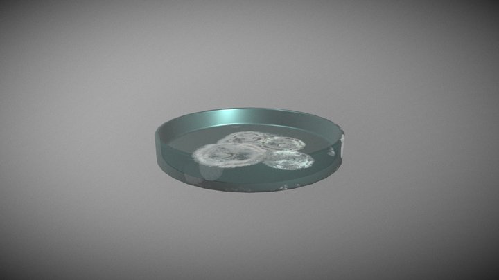 Petri dish 3D Model