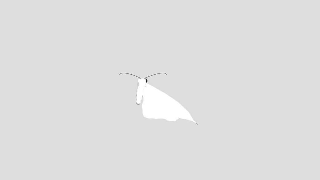 Simple Butterfly