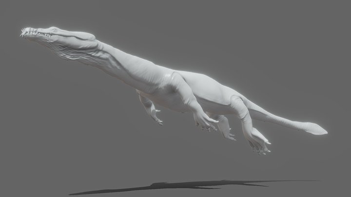 Nothosaurus 3D Model