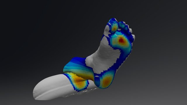 Footw Colour Pressure 3D Model