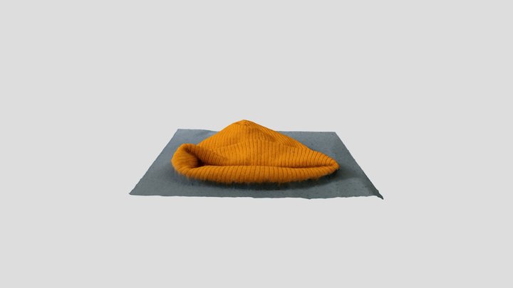Beanie 3D Model