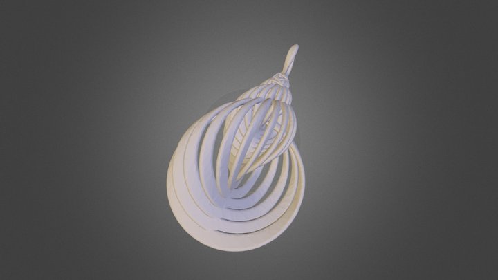 go_sliced-shell_necklace_model 3D Model