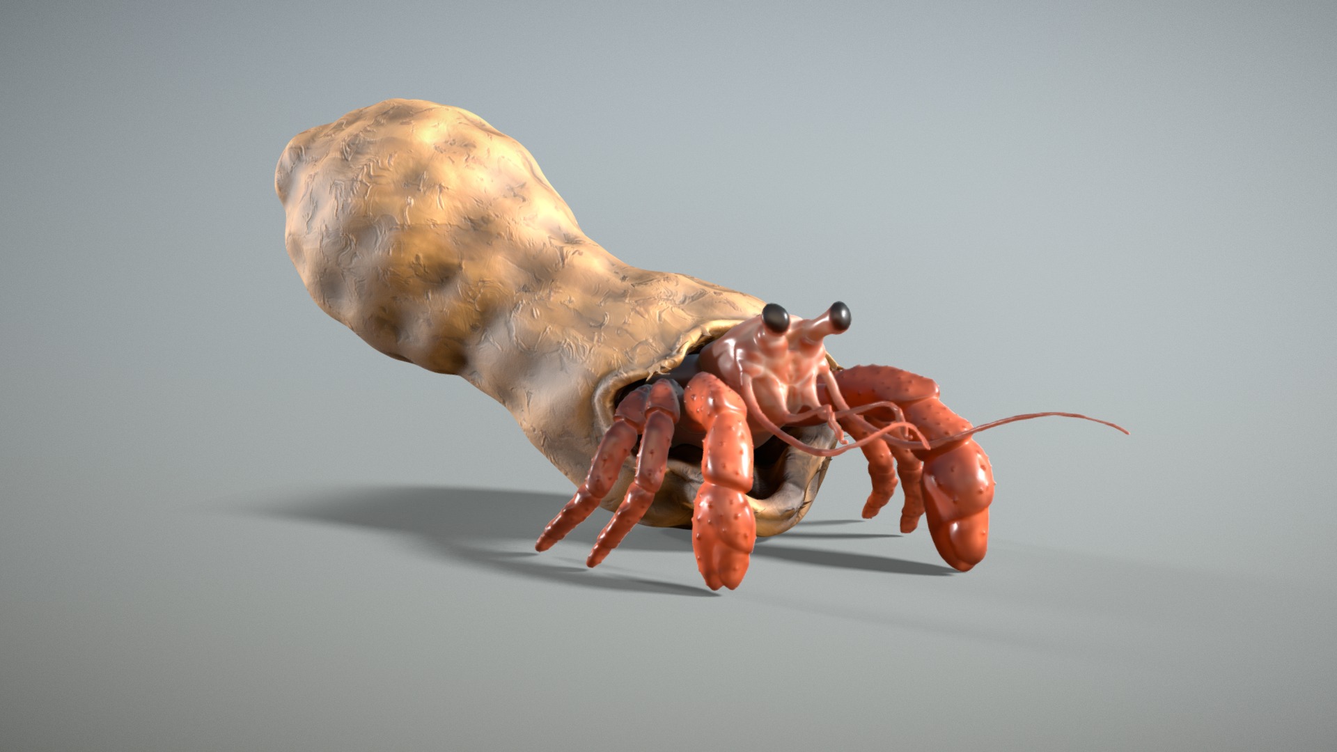 3D model SculptJanuary18 Day 25: Nature-Shell - This is a 3D model of the SculptJanuary18 Day 25: Nature-Shell. The 3D model is about a shrimp with a shell.