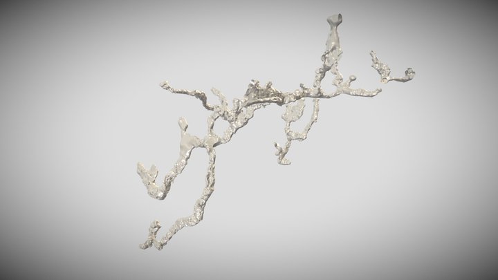 System Jaskiń w Wielkiej Skale 3D Model
