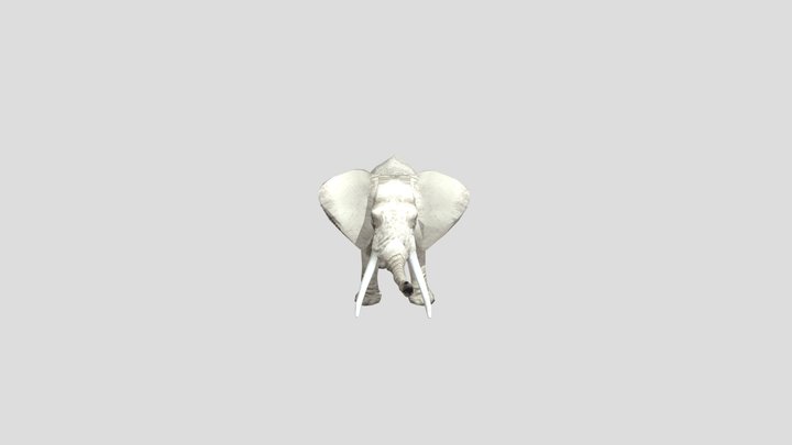 Albino Elephant – Modello 3D gratuito STL