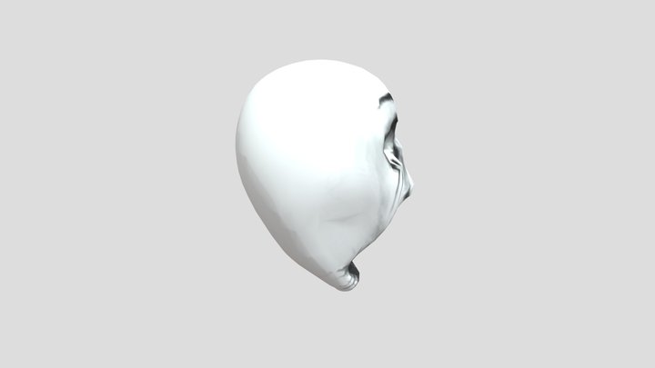 Valouria Head Hiachi Maze 3D Model